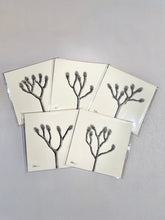 Load image into Gallery viewer, Parker Thornton| Original Mini Drawing