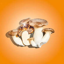 Load image into Gallery viewer, Midi Shiitake Mushroom Hair Claw Clip