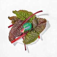 Load image into Gallery viewer, Rainbow Chard Hair Claw Accessories Jenny Lemons