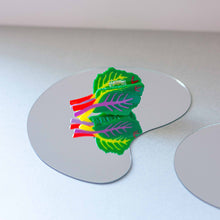 Load image into Gallery viewer, Rainbow Chard Hair Claw Accessories Jenny Lemons