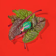 Load image into Gallery viewer, Rainbow Chard Hair Claw Accessories Jenny Lemons