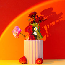 Load image into Gallery viewer, Strawberries and Flowers Hair Claw Accessories Jenny Lemons