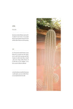 Load image into Gallery viewer, At Home In Joshua Tree Book