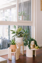 Load image into Gallery viewer, X PRISM Mojave Plant Stand