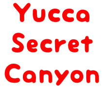 Load image into Gallery viewer, Yucca Hardcover Vintage Book Secret Canyon