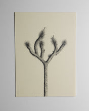 Load image into Gallery viewer, Parker Thornton| Original Mini Drawing 5x7
