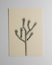 Load image into Gallery viewer, Parker Thornton| Original Mini Drawing 5x7
