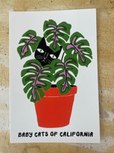 Load image into Gallery viewer, 68f6623ec600065f8f92bc31_cat-in-pot-postcard_1762547548746.jpg
