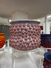 Load image into Gallery viewer, 68f6623ec600065f8f92bc31_img-0545-small_1763108127004.jpeg
