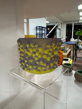 Load image into Gallery viewer, 68f6623ec600065f8f92bc31_img-0549-small_1763108281177.jpeg
