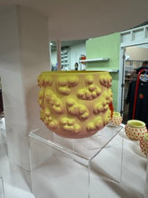 Load image into Gallery viewer, 68f6623ec600065f8f92bc31_img-0551-small_1763108328887.jpeg
