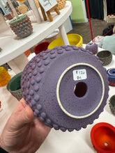 Load image into Gallery viewer, 68f6623ec600065f8f92bc31_img-0556-medium_1763108795887.jpeg
