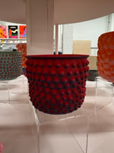 Load image into Gallery viewer, 68f6623ec600065f8f92bc31_img-0557-medium_1763113728288.jpeg

