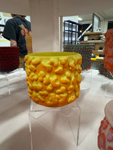Load image into Gallery viewer, 68f6623ec600065f8f92bc31_img-0561-medium_1763113931852.jpeg
