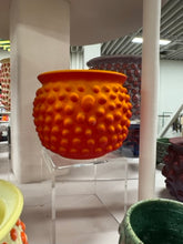 Load image into Gallery viewer, 68f6623ec600065f8f92bc31_img-0565-medium_1763114022041.jpeg
