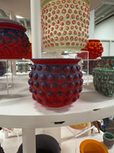 Load image into Gallery viewer, 68f6623ec600065f8f92bc31_img-0569-medium_1763114179579.jpeg
