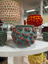 Load image into Gallery viewer, 68f6623ec600065f8f92bc31_img-0571-medium_1763114233373.jpeg
