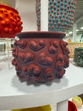 Load image into Gallery viewer, 68f6623ec600065f8f92bc31_img-0573-medium_1763114303759.jpeg
