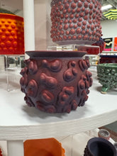 Load image into Gallery viewer, 68f6623ec600065f8f92bc31_img-0577-medium_1763114387586.jpeg
