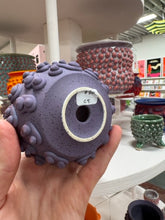 Load image into Gallery viewer, 68f6623ec600065f8f92bc31_img-0578-medium_1763114387586.jpeg
