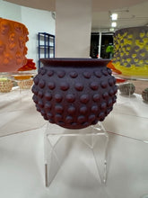 Load image into Gallery viewer, 68f6623ec600065f8f92bc31_img-0579-medium_1763114439297.jpeg
