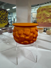 Load image into Gallery viewer, 68f6623ec600065f8f92bc31_img-0581-medium_1763114551054.jpeg

