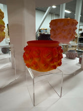 Load image into Gallery viewer, 68f6623ec600065f8f92bc31_img-0583-medium_1763114625187.jpeg
