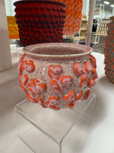 Load image into Gallery viewer, 68f6623ec600065f8f92bc31_img-0585-medium_1763114689347.jpeg
