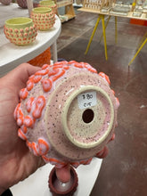 Load image into Gallery viewer, 68f6623ec600065f8f92bc31_img-0586-medium_1763114689346.jpeg
