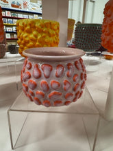 Load image into Gallery viewer, 68f6623ec600065f8f92bc31_img-0587-medium_1763114772212.jpeg
