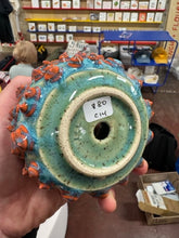 Load image into Gallery viewer, 68f6623ec600065f8f92bc31_img-0590-medium_1763114829750.jpeg
