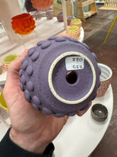 Load image into Gallery viewer, 68f6623ec600065f8f92bc31_img-0592-medium_1763114914639.jpeg
