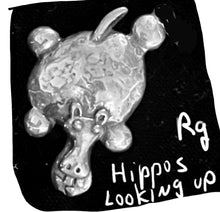 Load image into Gallery viewer, IMG_0970
