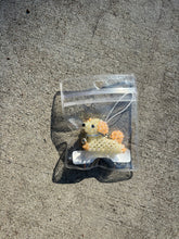 Load image into Gallery viewer, IMG_1305.heic
