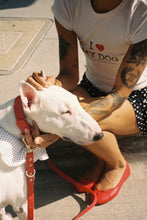 Load image into Gallery viewer, IMG_5844.jpg
