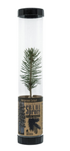 Load image into Gallery viewer, Packaged Live Trees
