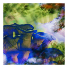 Load image into Gallery viewer, rhythmicrefractions
