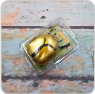 Load image into Gallery viewer, Screenshot 2025-02-26 at 16-09-55 All Roads · Products · Beetle Crawling Toy · Shopify

