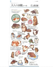 Load image into Gallery viewer, Kamio Japan Sticker Sheet
