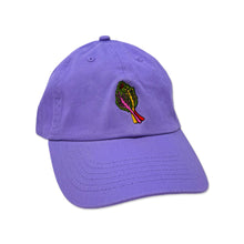 Load image into Gallery viewer, Embroidered Rainbow Chard Hat Accessories Jenny Lemons 
