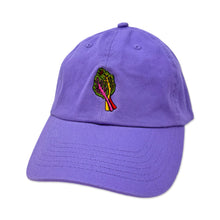 Load image into Gallery viewer, Embroidered Rainbow Chard Hat Accessories Jenny Lemons 

