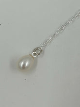 Load image into Gallery viewer, IMG_1273
