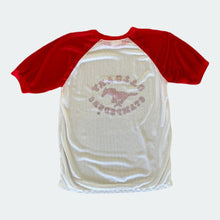 Load image into Gallery viewer, Calgary Stampeders Mesh Jersey
