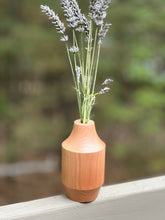 Load image into Gallery viewer, IMG_1393

