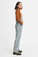 Load image into Gallery viewer, No Stone Unturned Vintage Overalls
