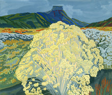 Load image into Gallery viewer, Plant in Mesa Verde Parking Lot
