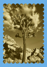 Load image into Gallery viewer, Desert Notecard
