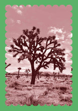 Load image into Gallery viewer, Desert Notecard
