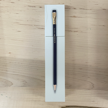 Load image into Gallery viewer, Secret Canyon Books Blackwing Pencils box of 12
