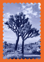 Load image into Gallery viewer, Desert Notecard
